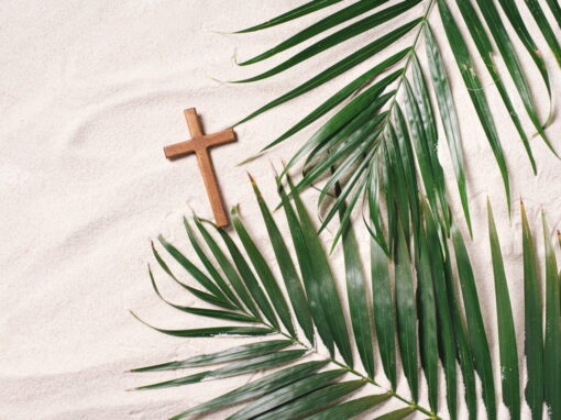 Palm Sunday Palm Sunday