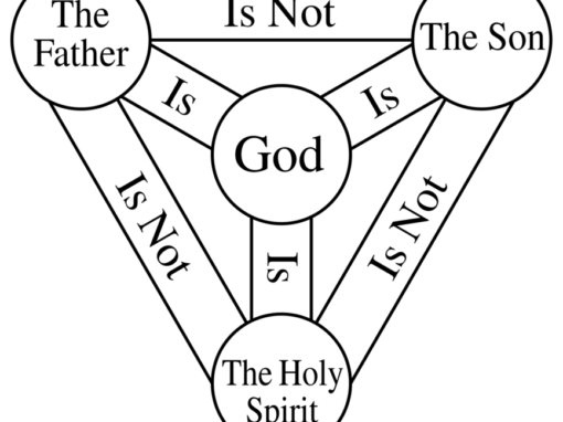 TRINITY SUNDAY TRINITY SUNDAY