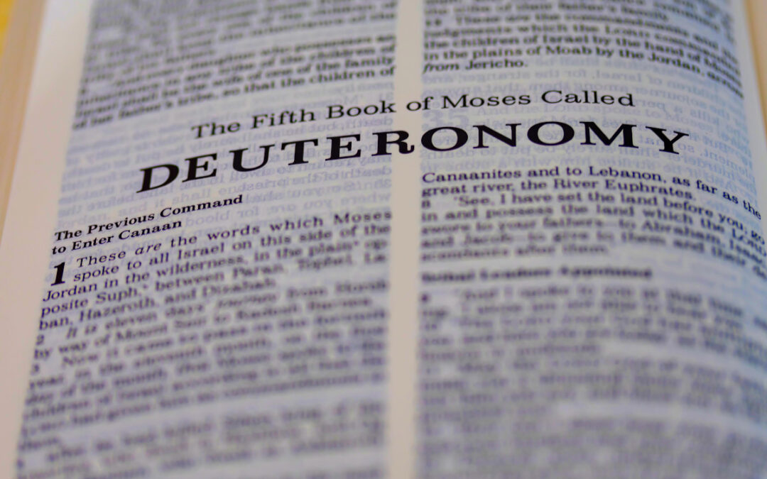 Deuteronomy 8:10-18