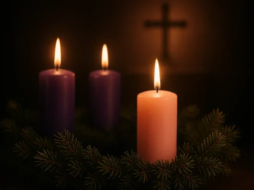 Advent 3: Sunday Sermon Matthew 11:2-10